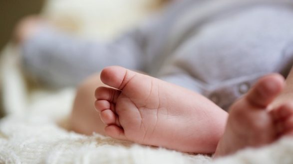 istock_101619_babyfoundind