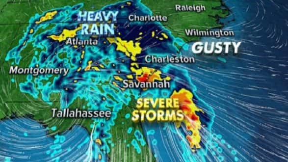 101919_abcnews_tsnestor