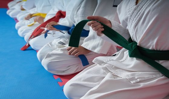istock_102119_karate
