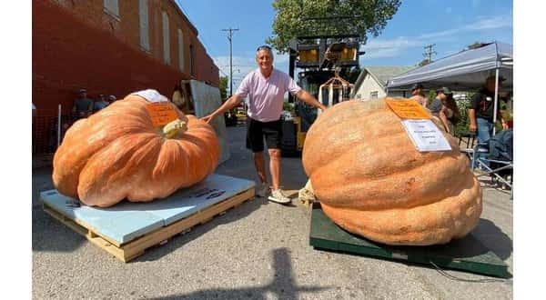 wireready_10-22-2019-20-10-04_00004_giantpumpkins