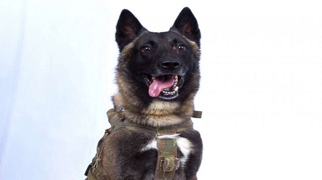 102819_usmilitary_herodog