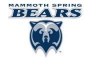wireready_10-29-2019-09-10-04_00003_mammothspringbears