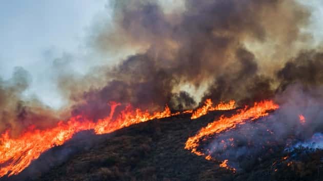 istock_103119_wildfire