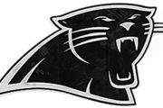 wireready_11-02-2019-12-00-04_00026_yspantherlogo