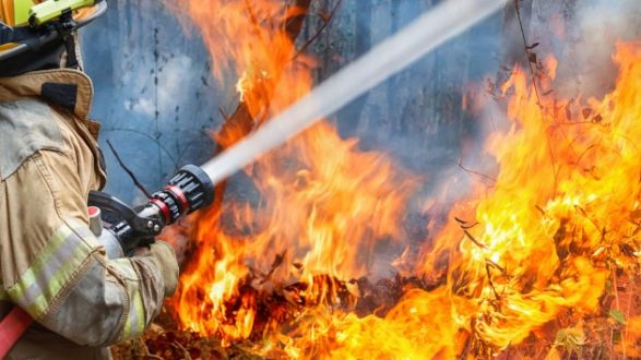 istock_11819_wildfire
