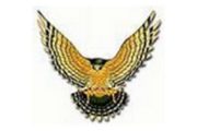 wireready_11-27-2019-10-30-04_00013_dorafalcon