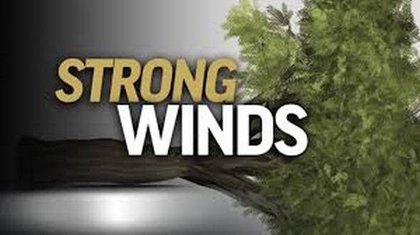 wireready_11-27-2019-18-16-03_00007_strongwinds