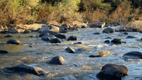 istock_12519_arizcreek