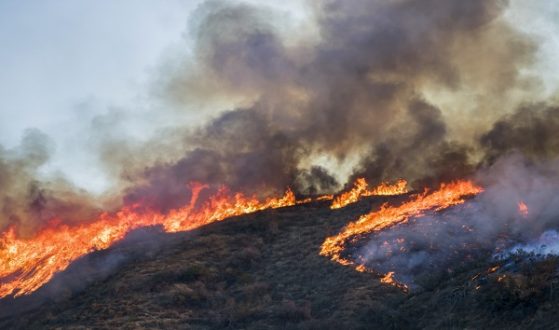 istock_101019_california_fire-3
