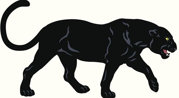 wireready_12-11-2019-12-26-03_00022_norforkpanthers