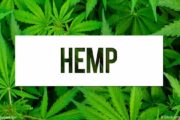wireready_12-28-2019-16-20-02_00030_hemp
