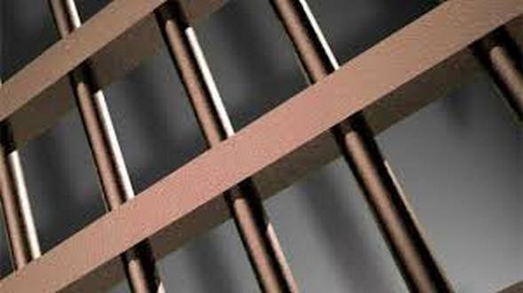 wireready_01-08-2020-17-06-03_00018_jailbars2