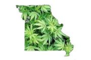 wireready_01-24-2020-21-02-04_00184_missourimedicalmarijuana2