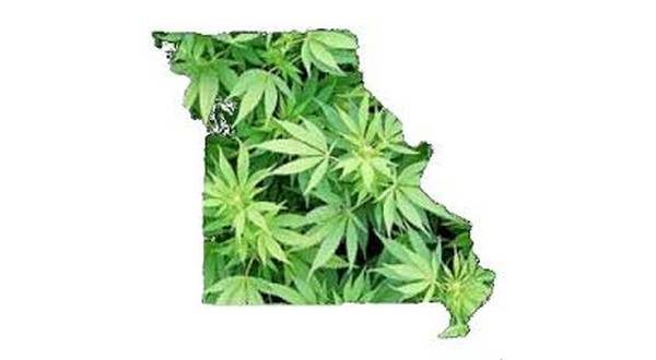 wireready_01-24-2020-21-02-04_00184_missourimedicalmarijuana2