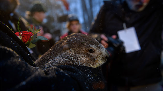 020220_getty_-punxsutawneyphil