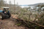 wireready_02-06-2020-10-34-03_00031_stormdamagelakehabitat