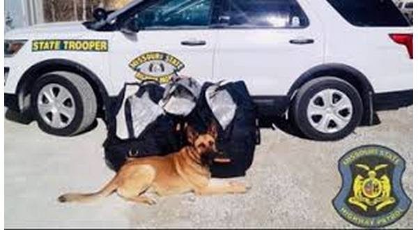 wireready_02-07-2020-22-30-04_00028_drugdog