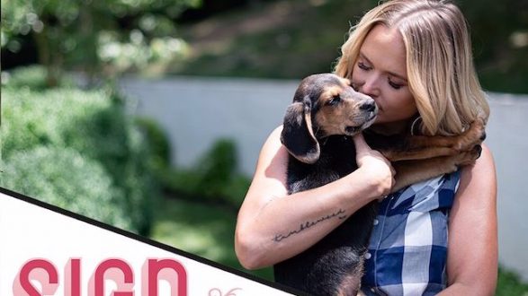 m_mirandalambertmuttnation-2