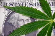 wireready_02-20-2020-18-12-03_00166_marijuanaandmoney2