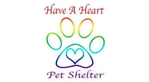 wireready_02-27-2020-10-18-12_00244_haveaheartpetshelter