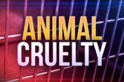 wireready_03-10-2020-21-42-02_00121_animalcruelty2