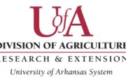 wireready_03-15-2020-11-38-07_00039_uofadivisionofagricultureresearchandextension