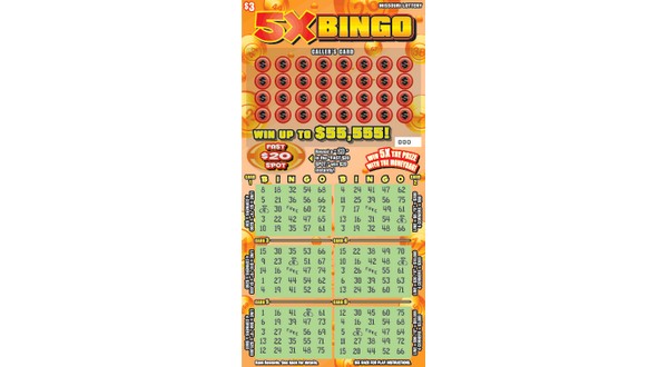 Bingo Lottery Ticket