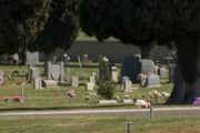 wireready_04-24-2020-09-52-05_00014_cemetery