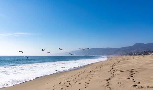 istock_051820_cali_beach_marcelo20nogueira