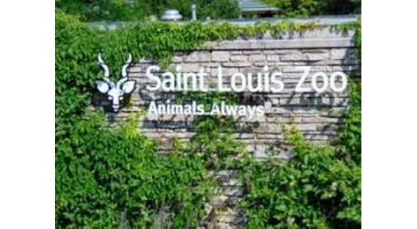 Summer camps in St. Louis County, St. Louis Zoo, reopen soon | KTLO