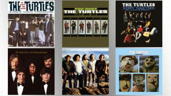 m_turtlesalbums630_060320