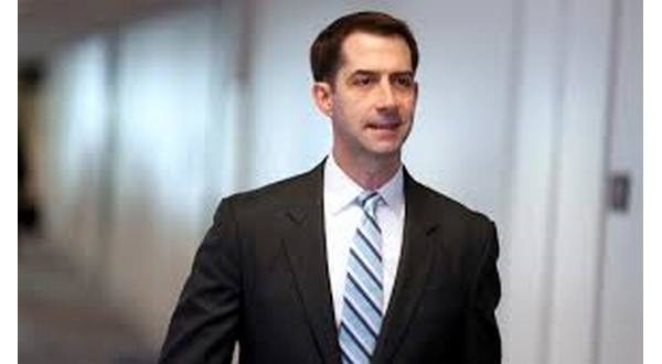 wireready_06-05-2020-19-08-03_00144_tomcotton