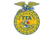 wireready_06-22-2020-10-06-04_00033_ffa