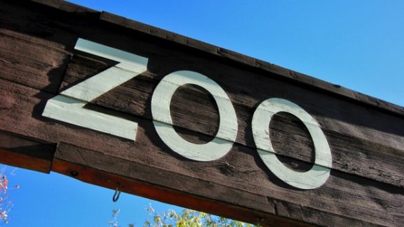 istock_080320_stlouiszoo