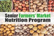 wireready_08-09-2020-11-14-08_00008_seniorfarmersmarketnutrition