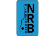 wireready_08-14-2020-09-56-03_00009_nickreedbandlogo