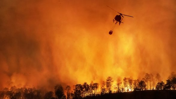 istock_10520_wildfirehelo