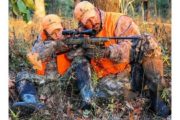 wireready_11-07-2020-07-10-05_00096_hunting2
