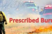 wireready_11-09-2020-10-54-12_00020_prescribedburn
