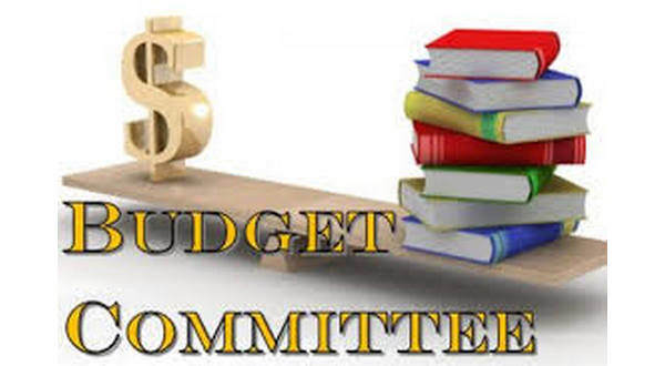 wireready_11-18-2020-20-28-05_00055_budgetcommittee
