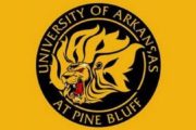 wireready_12-10-2020-13-02-38_00175_uapb
