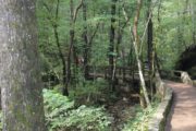 wireready_12-15-2020-20-52-04_00130_blanchardspringstrail