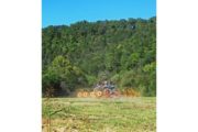 wireready_12-26-2020-12-14-04_00095_hay