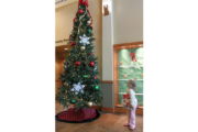 wireready_12-27-2020-12-24-06_00002_librarychristmastree