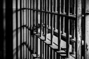 istock_11521_jaillcell