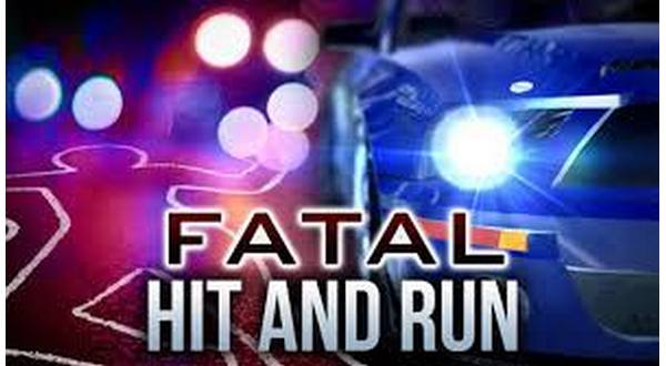 Investigation continues into fatal pedestrian hit-and-run - Vimarsana News