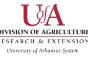 wireready_01-19-2021-11-04-04_00013_uofadivisionofagricultureresearchandextension