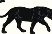 wireready_02-27-2021-04-40-07_00113_norforkpanthers