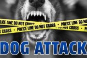 wireready_03-03-2021-18-06-05_00067_dogattack
