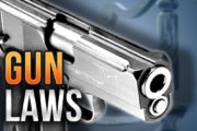 wireready_03-04-2021-12-24-05_00190_gunlaws